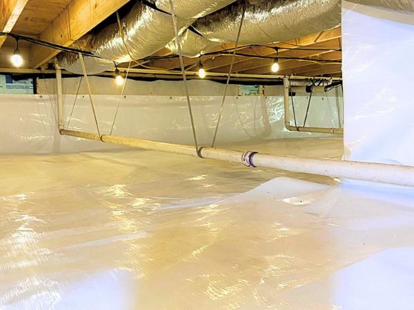 Mold Remediation