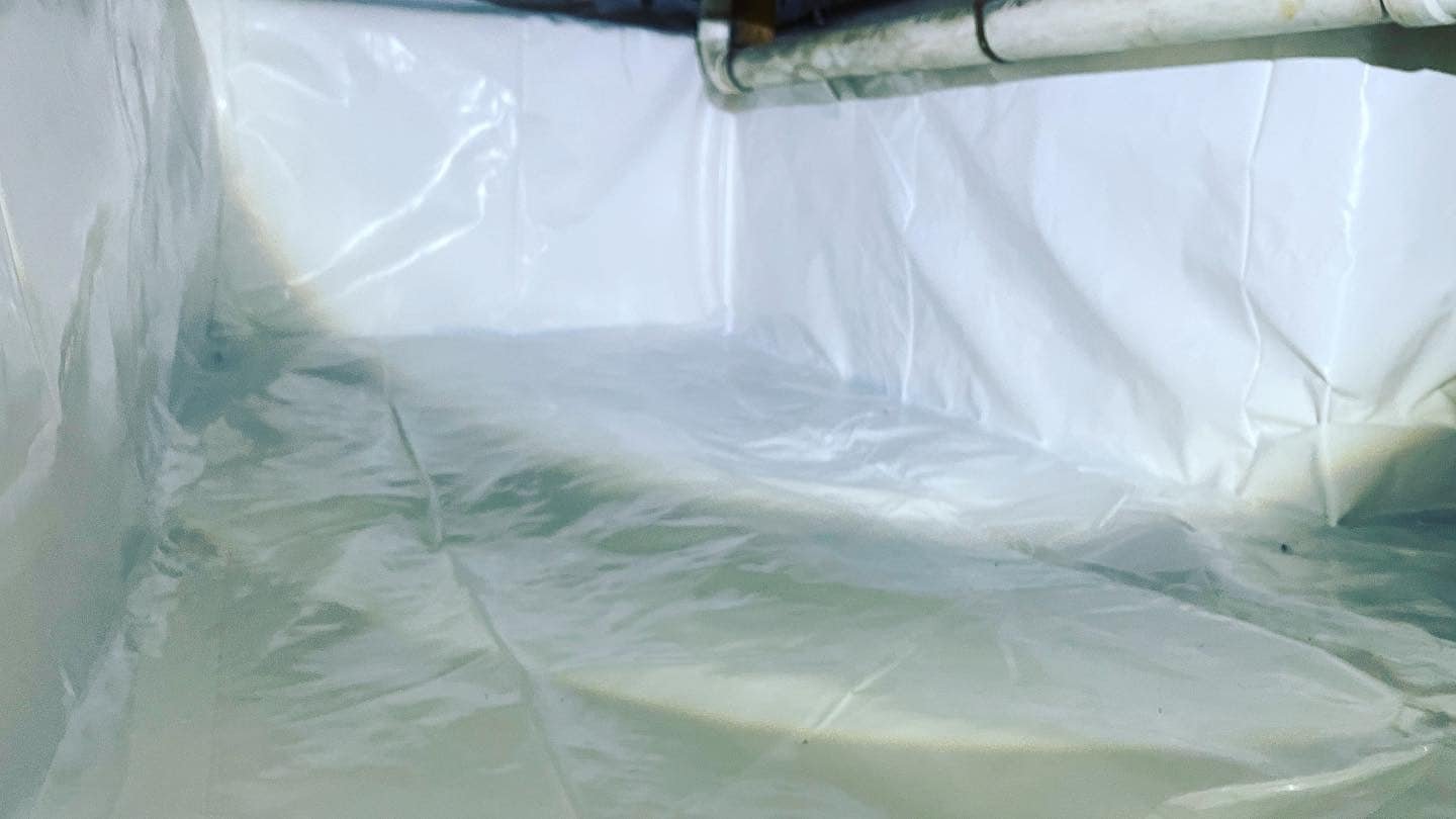 Sealed basement with clean environment: Crawlspaces and Waterproofing of Cumming